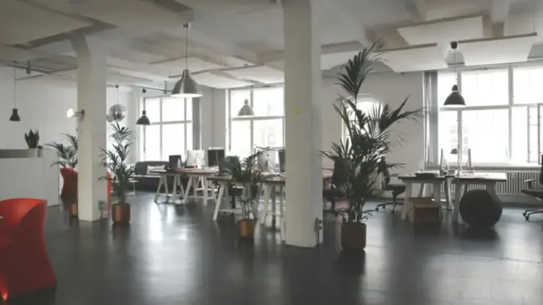 Designing for Productivity: How to Create a Workplace That Works