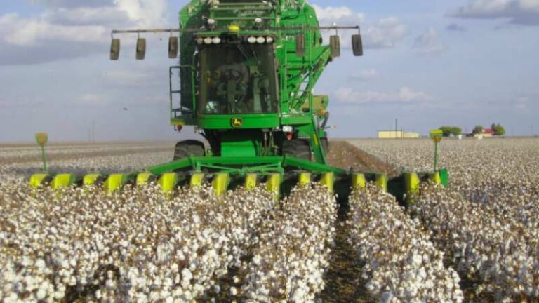 The Evolution of Tractor Engineering and Its Impact on Modern Farming Efficiency